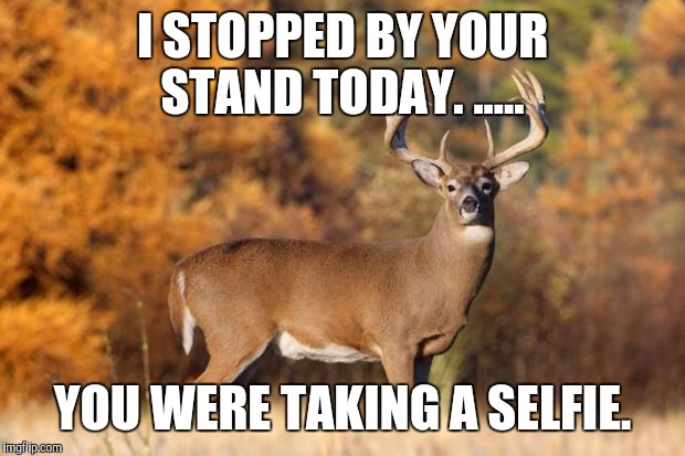whitetail deer | I STOPPED BY YOUR STAND TODAY. ..... YOU WERE TAKING A SELFIE. | image tagged in whitetail deer | made w/ Imgflip meme maker