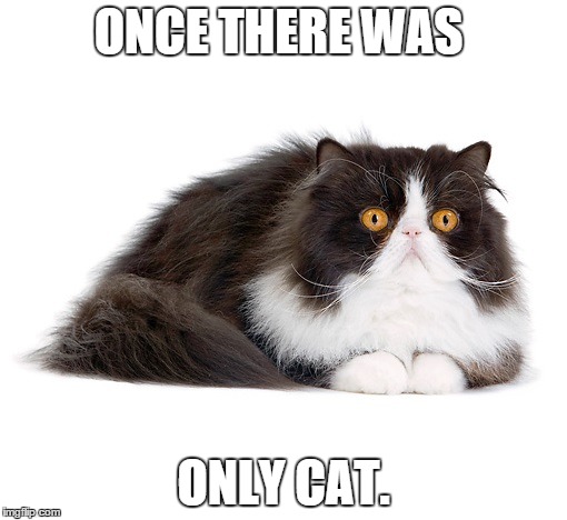 Once there was only cat. | ONCE THERE WAS ONLY CAT. | image tagged in only cat,cat,just cat | made w/ Imgflip meme maker