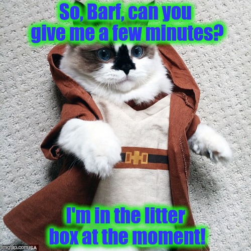Obi Wan Cat | So, Barf, can you give me a few minutes? I'm in the litter box at the moment! | image tagged in obi wan cat | made w/ Imgflip meme maker