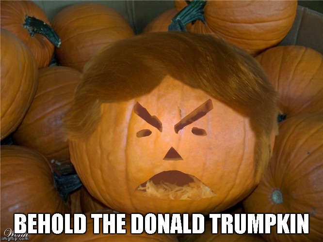 Donald Trumpkin | BEHOLD THE DONALD TRUMPKIN | image tagged in donald trumpkin | made w/ Imgflip meme maker