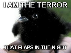 Fear Me | I AM THE TERROR THAT FLAPS IN THE NIGHT | image tagged in duckling,i am the night | made w/ Imgflip meme maker