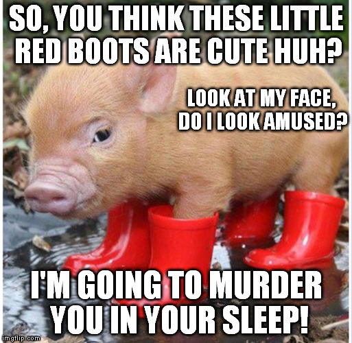 Little piggy in red boots | SO, YOU THINK THESE LITTLE RED BOOTS ARE CUTE HUH? I'M GOING TO MURDER YOU IN YOUR SLEEP! LOOK AT MY FACE, DO I LOOK AMUSED? | image tagged in little piggy in red boots | made w/ Imgflip meme maker