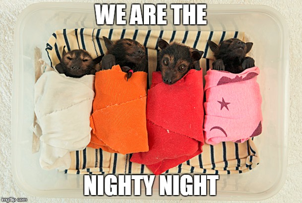 Sleepy Time | WE ARE THE NIGHTY NIGHT | image tagged in bats,i am the night | made w/ Imgflip meme maker