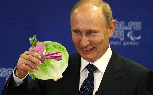 Putin with Lettuce, Turnip and a Beet Blank Meme Template