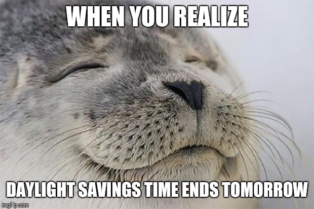 Satisfied Seal Meme | WHEN YOU REALIZE DAYLIGHT SAVINGS TIME ENDS TOMORROW | image tagged in memes,satisfied seal | made w/ Imgflip meme maker