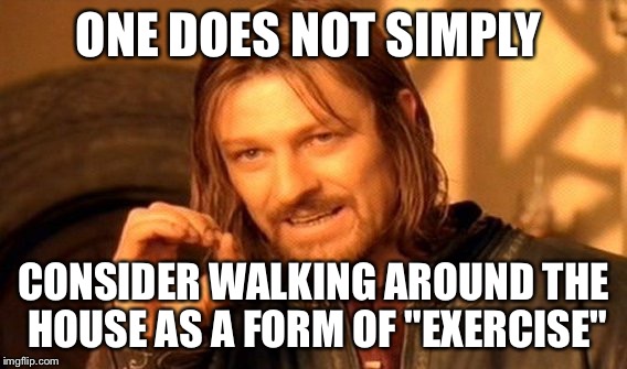 One Does Not Simply Meme | ONE DOES NOT SIMPLY CONSIDER WALKING AROUND THE HOUSE AS A FORM OF "EXERCISE" | image tagged in memes,one does not simply | made w/ Imgflip meme maker