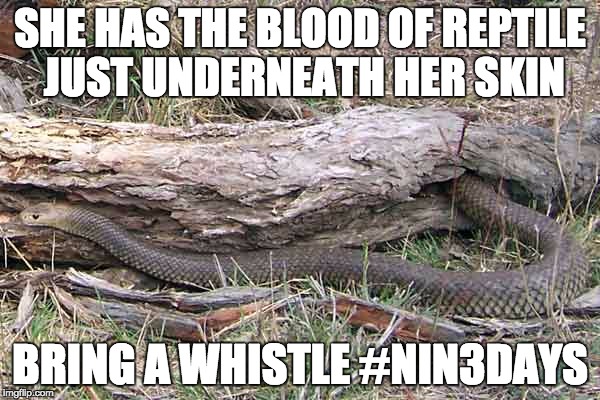 SHE HAS THE BLOOD OF REPTILE JUST UNDERNEATH HER SKIN BRING A WHISTLE #NIN3DAYS | image tagged in eastern brown snake | made w/ Imgflip meme maker