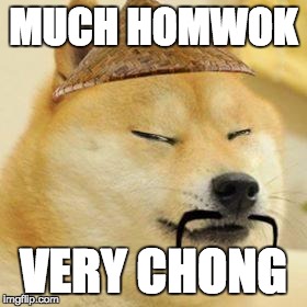 asian doge | MUCH HOMWOK VERY CHONG | image tagged in asian doge | made w/ Imgflip meme maker