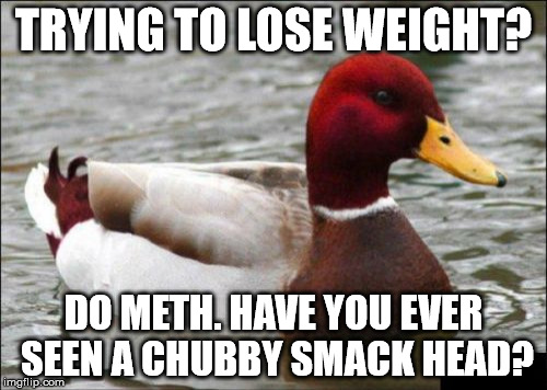 Malicious Advice Mallard Meme | TRYING TO LOSE WEIGHT? DO METH. HAVE YOU EVER SEEN A CHUBBY SMACK HEAD? | image tagged in memes,malicious advice mallard | made w/ Imgflip meme maker