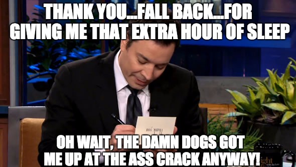 Thank You | THANK YOU...FALL BACK...FOR GIVING ME THAT EXTRA HOUR OF SLEEP OH WAIT, THE DAMN DOGS GOT ME UP AT THE ASS CRACK ANYWAY! | image tagged in fall,thank you notes,jimmy fallon,snl,dogs,funny memes | made w/ Imgflip meme maker