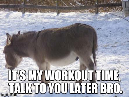 IT'S MY WORKOUT TIME, TALK TO YOU LATER BRO. | made w/ Imgflip meme maker