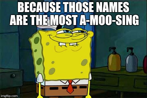 Don't You Squidward Meme | BECAUSE THOSE NAMES ARE THE MOST A-MOO-SING | image tagged in memes,dont you squidward | made w/ Imgflip meme maker