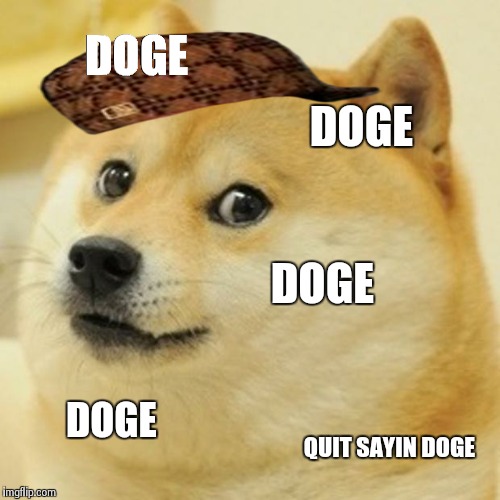 Doge Meme | DOGE DOGE DOGE DOGE QUIT SAYIN DOGE | image tagged in memes,doge,scumbag | made w/ Imgflip meme maker