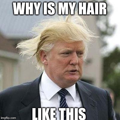 Donald Trump | WHY IS MY HAIR LIKE THIS | image tagged in donald trump | made w/ Imgflip meme maker