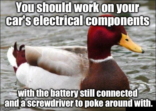 Malicious Advice Mallard | You should work on your car's electrical components with the battery still connected and a screwdriver to poke around with. | image tagged in memes,malicious advice mallard | made w/ Imgflip meme maker