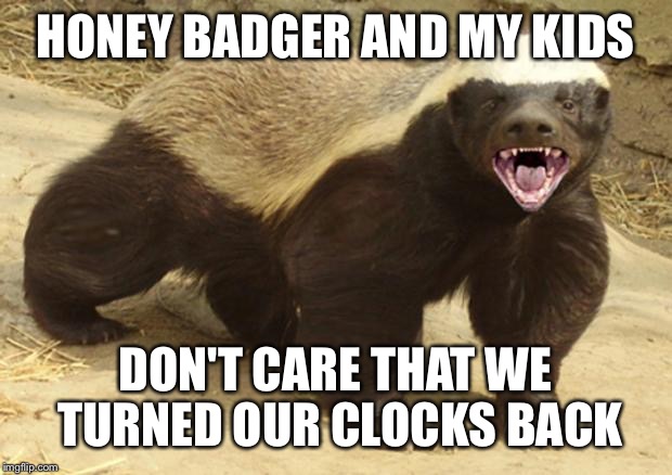 Honey badger | HONEY BADGER AND MY KIDS DON'T CARE THAT WE TURNED OUR CLOCKS BACK | image tagged in honey badger | made w/ Imgflip meme maker