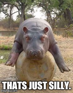 Happy hippo | THATS JUST SILLY. | image tagged in happy hippo | made w/ Imgflip meme maker
