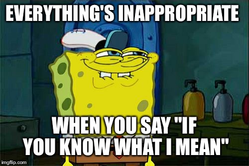 Don't You Squidward | EVERYTHING'S INAPPROPRIATE WHEN YOU SAY "IF YOU KNOW WHAT I MEAN" | image tagged in memes,dont you squidward | made w/ Imgflip meme maker