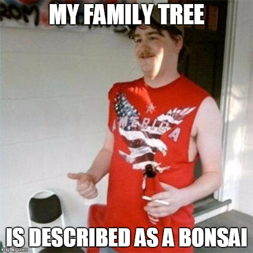 My Brother-in-law is my Uncle | MY FAMILY TREE IS DESCRIBED AS A BONSAI | image tagged in memes,redneck randal,redneck,rednecks | made w/ Imgflip meme maker