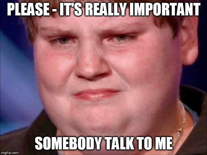fat kid crying | PLEASE - IT'S REALLY IMPORTANT SOMEBODY TALK TO ME | image tagged in fat kid crying | made w/ Imgflip meme maker