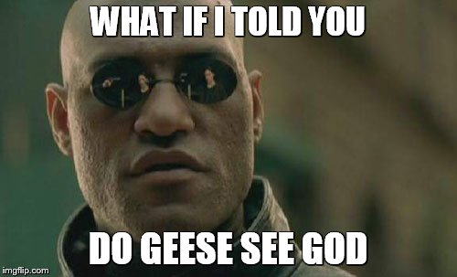 Matrix Morpheus Meme | WHAT IF I TOLD YOU DO GEESE SEE GOD | image tagged in memes,matrix morpheus | made w/ Imgflip meme maker