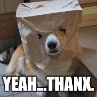 I'm not your dog | YEAH...THANX. | image tagged in i'm not your dog | made w/ Imgflip meme maker