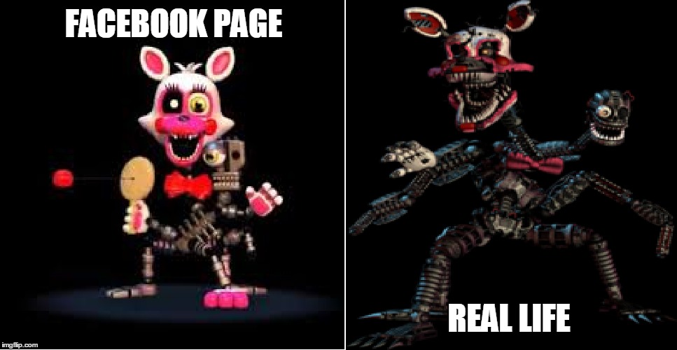 Girls these days... | FACEBOOK PAGE REAL LIFE | image tagged in mangle,fnaf,facebook | made w/ Imgflip meme maker