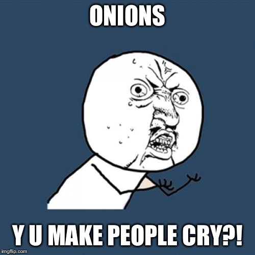 Y U No Meme | ONIONS Y U MAKE PEOPLE CRY?! | image tagged in memes,y u no | made w/ Imgflip meme maker