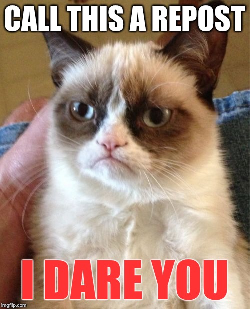 Grumpy Cat Meme | CALL THIS A REPOST I DARE YOU | image tagged in memes,grumpy cat | made w/ Imgflip meme maker