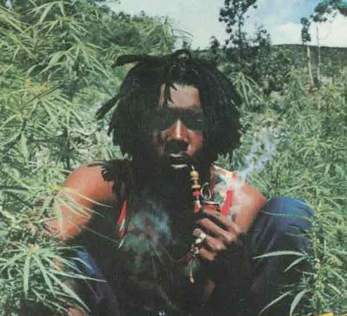 High Quality Peter Tosh Legalize It Blank Meme Template