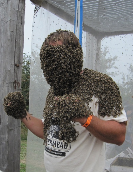 High Quality Man wearing bees Blank Meme Template