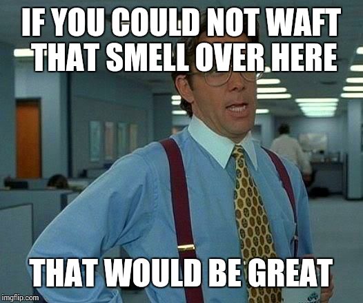 That Would Be Great Meme | IF YOU COULD NOT WAFT THAT SMELL OVER HERE THAT WOULD BE GREAT | image tagged in memes,that would be great | made w/ Imgflip meme maker