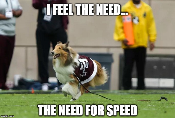 Go, Rev, Go! | I FEEL THE NEED... THE NEED FOR SPEED | image tagged in aggies,texas am,tamu,miss reveille | made w/ Imgflip meme maker