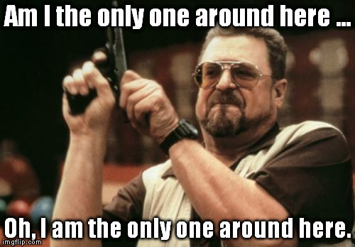 Achievement earned: Went Outside | Am I the only one around here ... Oh, I am the only one around here. | image tagged in memes,am i the only one around here,meme | made w/ Imgflip meme maker