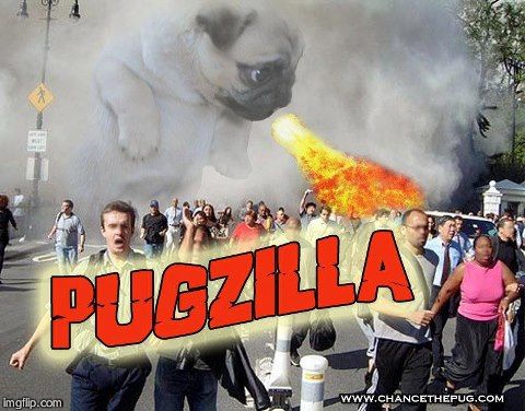 Pugzilla | O | image tagged in pugzilla | made w/ Imgflip meme maker