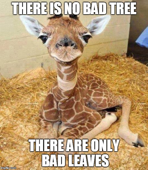Freeman Giraffe | THERE IS NO BAD TREE THERE ARE ONLY BAD LEAVES | image tagged in freeman giraffe | made w/ Imgflip meme maker