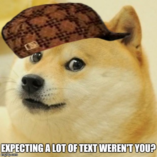 Doge | EXPECTING A LOT OF TEXT WEREN'T YOU? | image tagged in memes,doge,scumbag | made w/ Imgflip meme maker