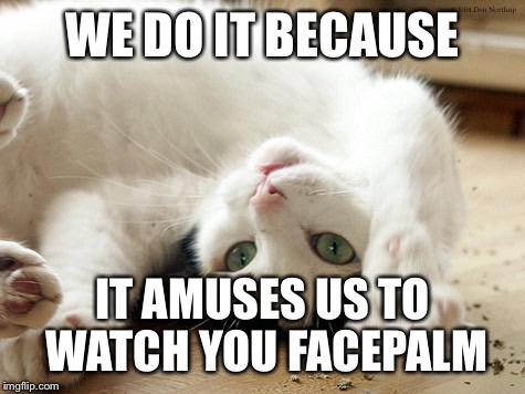 WE DO IT BECAUSE IT AMUSES US TO WATCH YOU FACEPALM | made w/ Imgflip meme maker