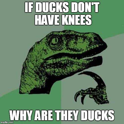 Philosoraptor | IF DUCKS DON'T HAVE KNEES WHY ARE THEY DUCKS | image tagged in memes,philosoraptor | made w/ Imgflip meme maker