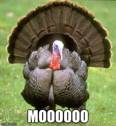 Turkey trying to make it through the holidays | MOOOOOO | image tagged in memes,turkey | made w/ Imgflip meme maker