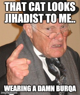 Back In My Day Meme | THAT CAT LOOKS JIHADIST TO ME.. WEARING A DAMN BURQA | image tagged in memes,back in my day | made w/ Imgflip meme maker