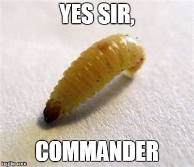 YES SIR, COMMANDER | made w/ Imgflip meme maker