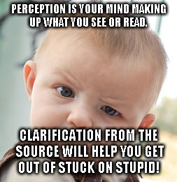Skeptical Baby | PERCEPTION IS YOUR MIND MAKING UP WHAT YOU SEE OR READ. CLARIFICATION FROM THE SOURCE WILL HELP YOU GET OUT OF STUCK ON STUPID! | image tagged in memes,skeptical baby | made w/ Imgflip meme maker