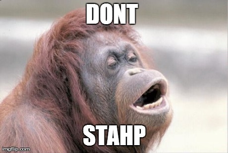 Monkey OOH Meme | DONT  STAHP | image tagged in memes,monkey ooh | made w/ Imgflip meme maker