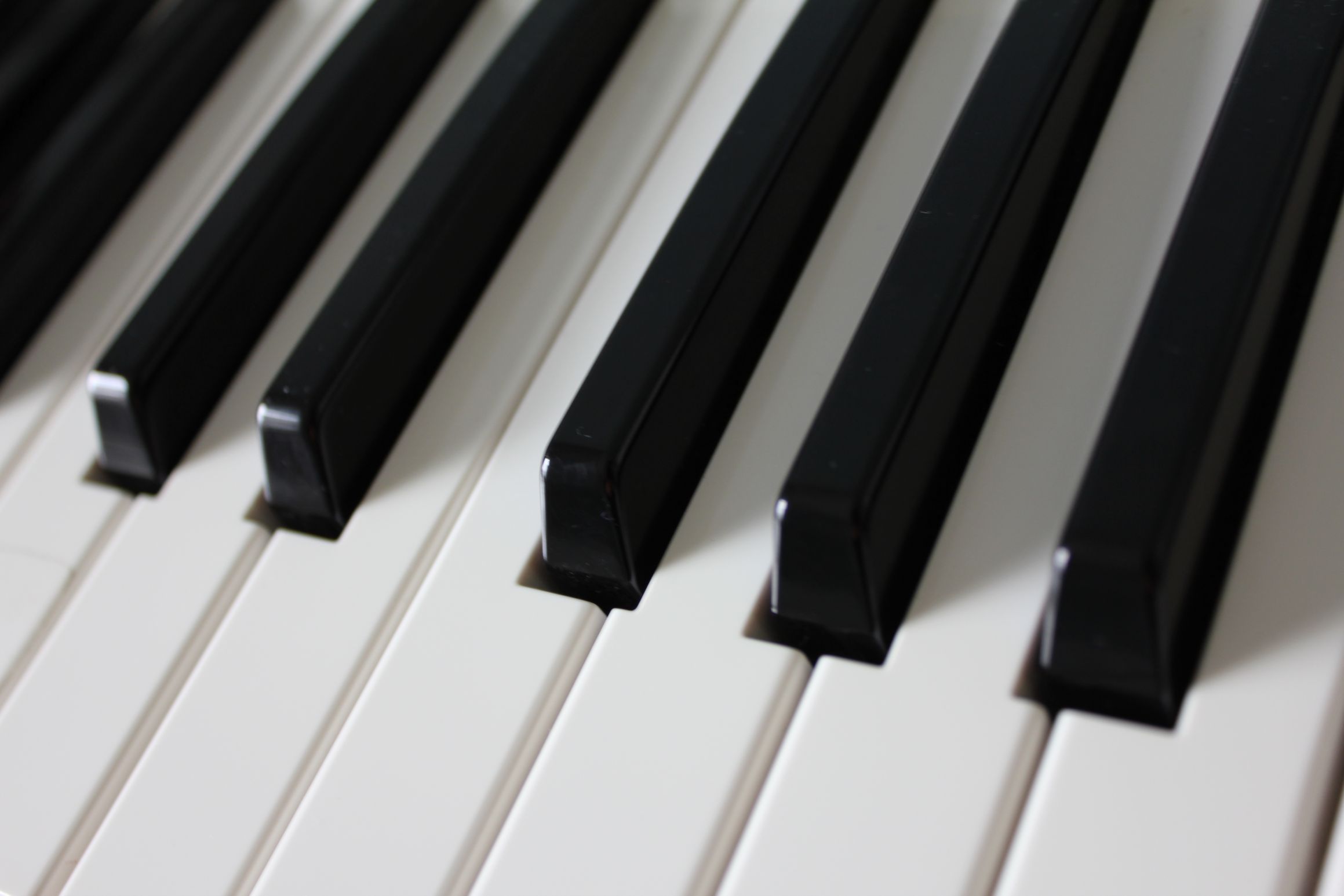 Piano keys Blank Template Imgflip