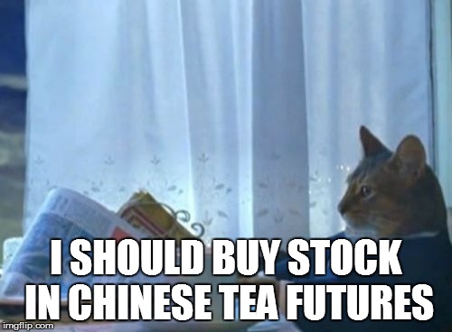 I Should Buy A Boat Cat Meme | I SHOULD BUY STOCK IN CHINESE TEA FUTURES | image tagged in memes,i should buy a boat cat | made w/ Imgflip meme maker