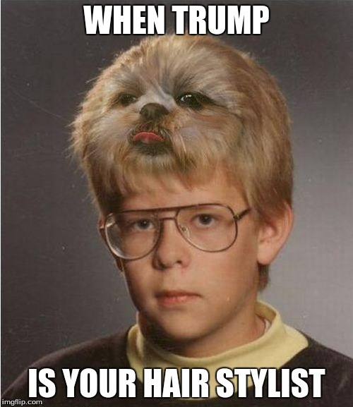 Trump in middle school | WHEN TRUMP IS YOUR HAIR STYLIST | image tagged in donald trump | made w/ Imgflip meme maker