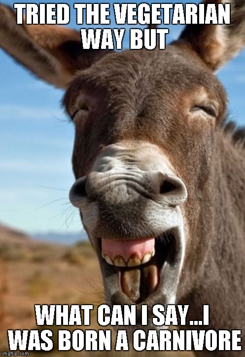 Funny Donkey | TRIED THE VEGETARIAN WAY BUT WHAT CAN I SAY...I WAS BORN A CARNIVORE | image tagged in funny donkey | made w/ Imgflip meme maker