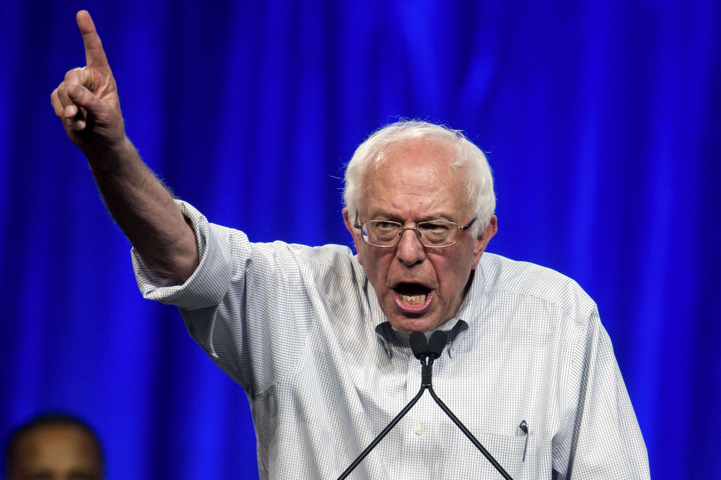 High Quality Fapfapfap sanders yelling  Blank Meme Template