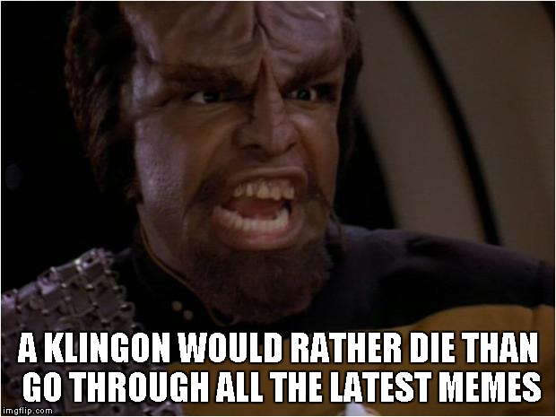 Lt Worf | A KLINGON WOULD RATHER DIE THAN GO THROUGH ALL THE LATEST MEMES | image tagged in lt worf | made w/ Imgflip meme maker